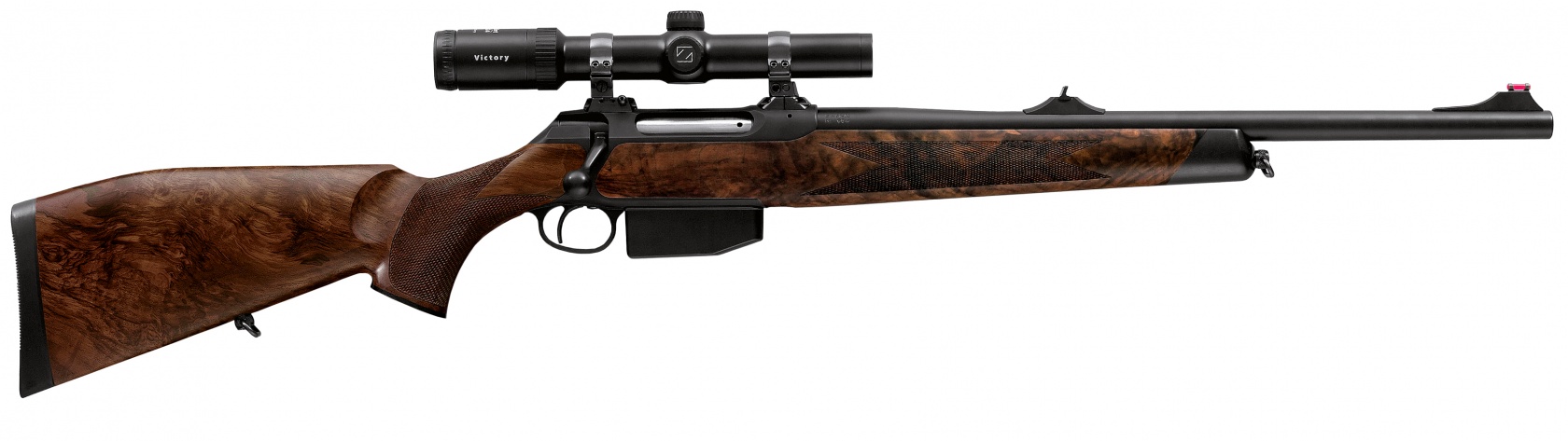 Sauer 202 Forest.jpg