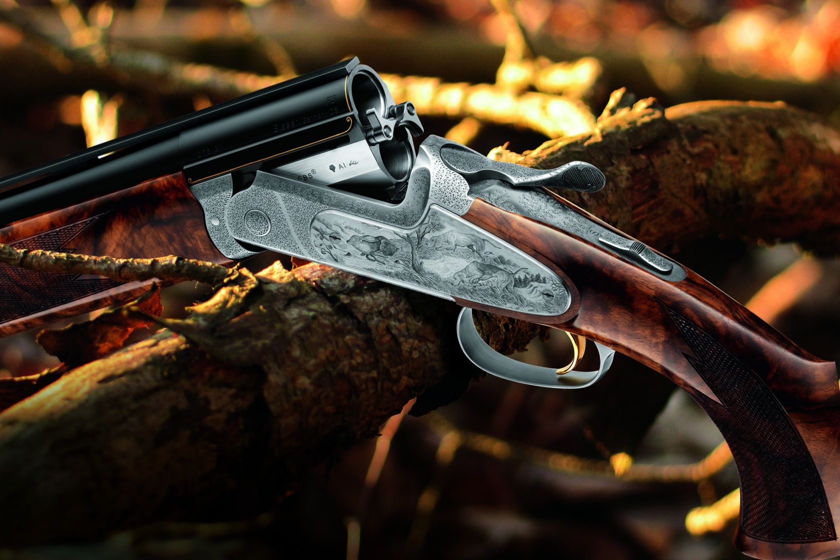 BLASER_f3_03.jpg